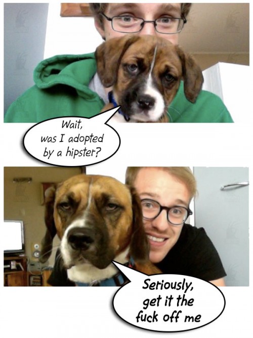 20130508-adopted-by-hipster