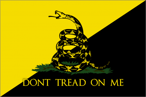 Anarcho_Gadsden_flag